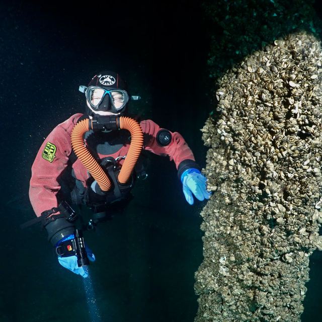 Immersion avec le Salamandre