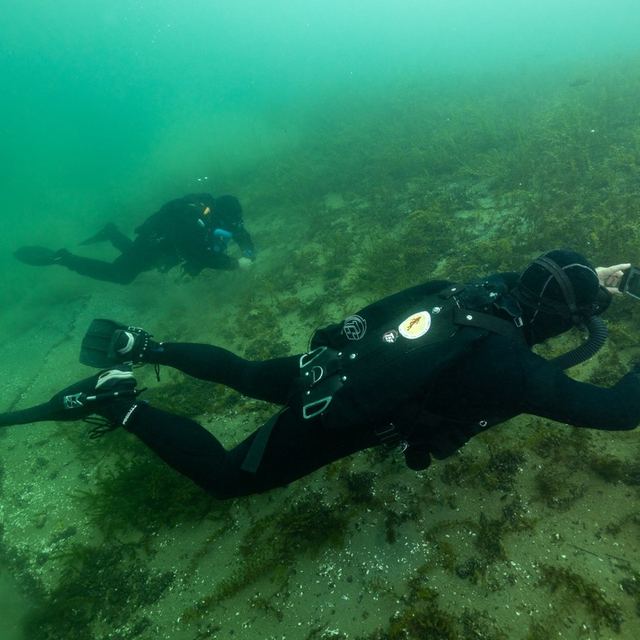 Le Salamandre en plongée