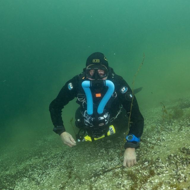 Immersion avec le Salamandre