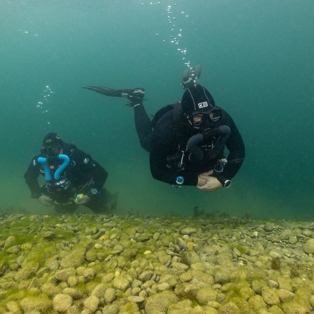 Le Salamandre en plongée