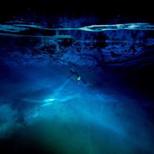 Immersion avec le Salamandre
