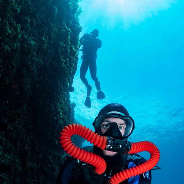 Immersion avec le Salamandre