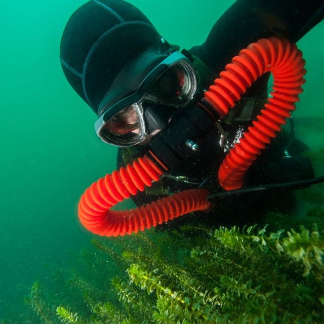 Plongeur équipé du recycleur Salamandre